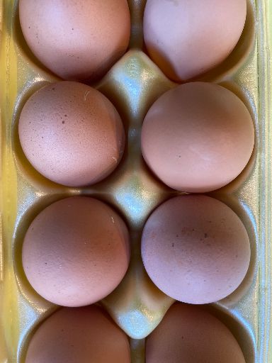 Huevos